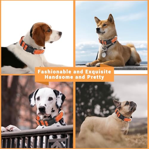 Image of Petology Reflective Adjustable Dog Collar for X-Large Dogs (50-60 cms) | Soft Neoprene Padded Nylon Pet Collar with Safe & Quick Release Buckle | Comfortable, Lightweight & Durable