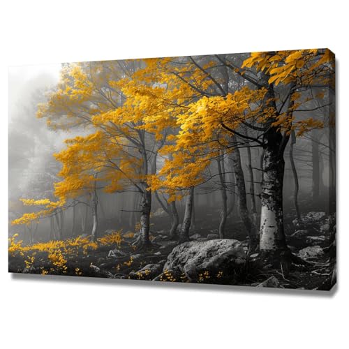 Photo sur toile paysage pour salon et bureau cadre 40x60cm