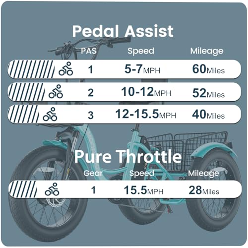 MOONCOOL 1000W 4″ Fat Tire Electric Tricycle for Adults, 48V