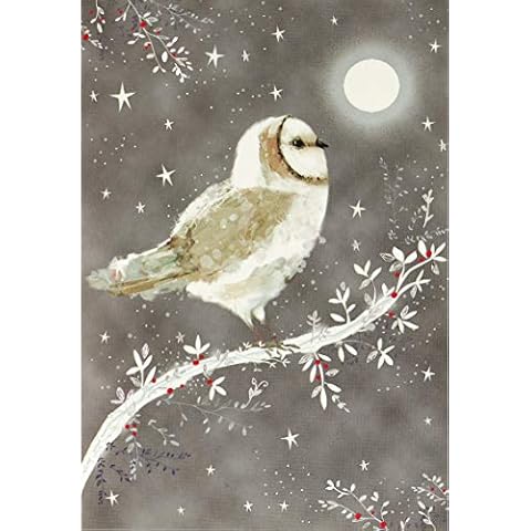 Starry Night Owl Holiday Card Set Cover