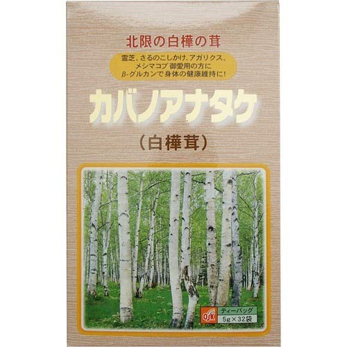 OSK カバノアナタケ