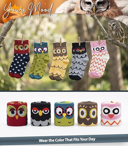 Image of Unisex Family Owl Socks - 5 Pairs Cotton Crew Socks in Gift Box for Men, Women & Kids - Fun, Colorful Owl Design, Soft & Breathable, Comfortable for Everyday Wear - US Sizes 5-8