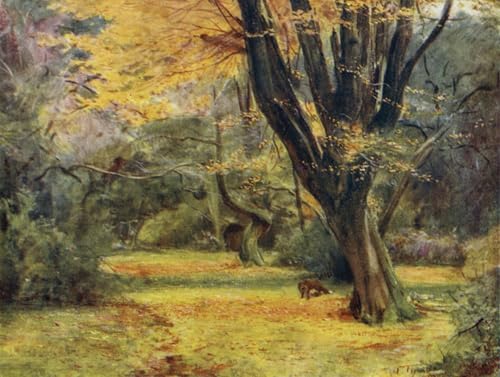 Art tableau les érables de la nouvelle forêt haute définition 60x90cm