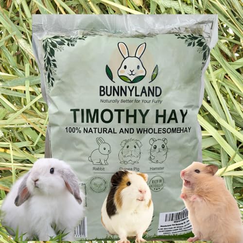 Image of Timothy Hay for Rabbits, Guinea Pigs and Hamsters for All Life Stages | 100% Natural | HIGH Fiber Food (500 Grams)