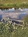 Nature Over Again: The Garden Art of Ian Hamilton Finlay