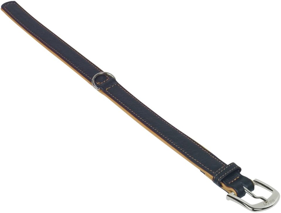 Nobby Pacific Collar, 32 cm, Gray