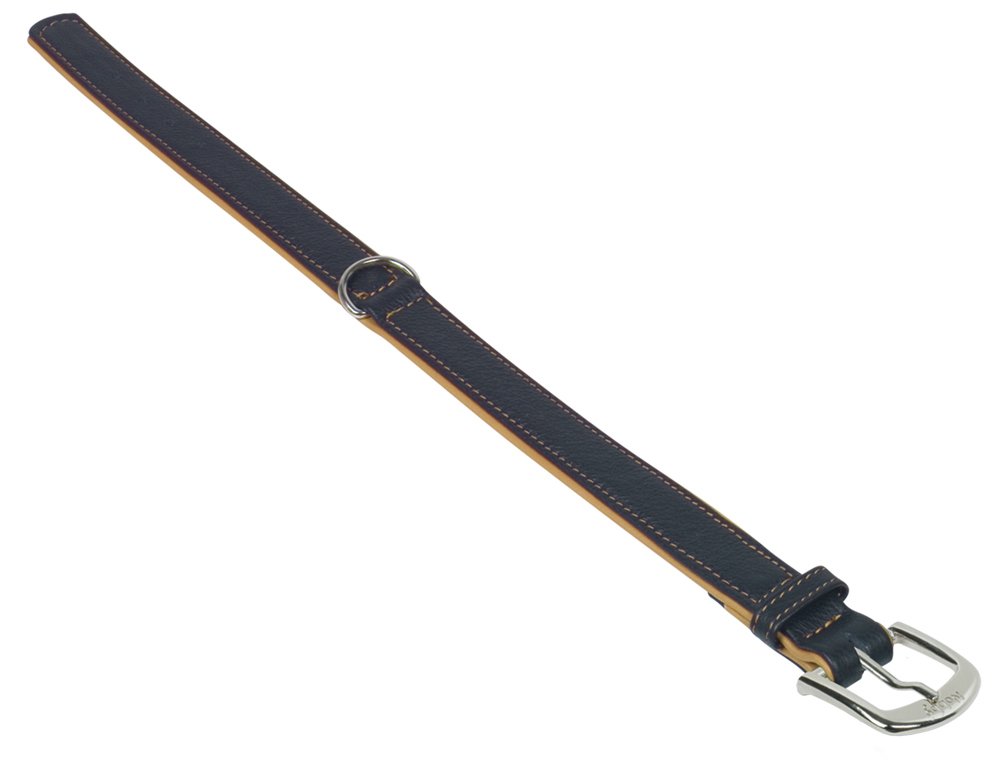 Nobby Pet Orange Dog Collar Pacific
