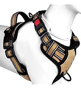 Amazon | 【Amazon.co.jp限定】BaoCheng 犬ハーネス 犬用胴輪 小型犬