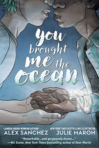 Télécharger You Brought Me The Ocean (You Brought Me The Ocean (2020)) (English Edition) PDF