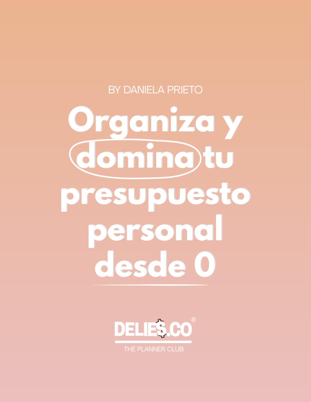 Organiza y domina tu presupuesto personal desde cero: Fácil, cómodo y entretenido