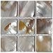 Art3d Mother of Pearl (MOP Shell) Mosaic Tiles, 9 Samples