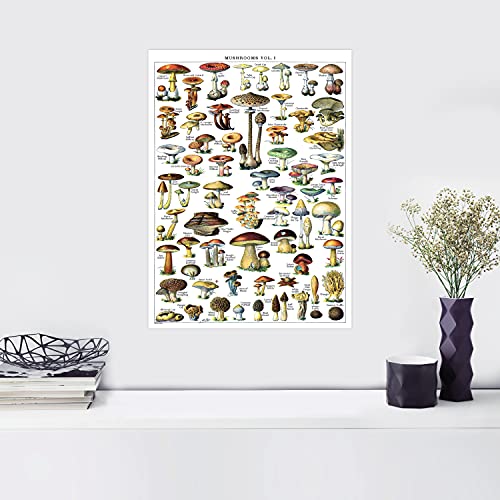 Palace Learning Vintage Mushroom Poster Print - Mycology & Fungi Botanical Identification Reference Chart Volume 1 (LAMINATED, 18" x 24") - Image 6