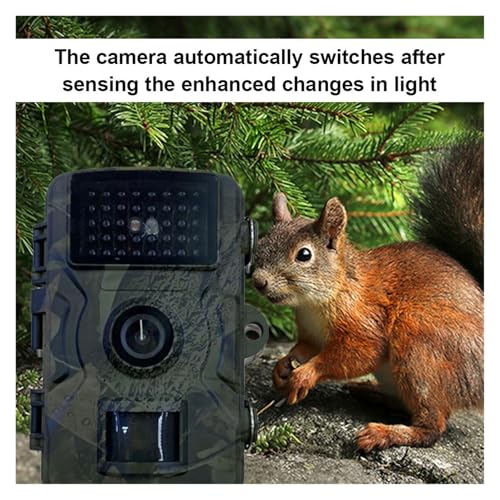 QAXRZCUCD Caméra De Chasse Et Suivi des Sentiers, Vision Nocturne Infrarouge Activée par Le Mouvement, Sécurité for L'observation Animaux, Pièges Photos La Faune en Plein Air Images Et VidéOs Nettes – vue 4