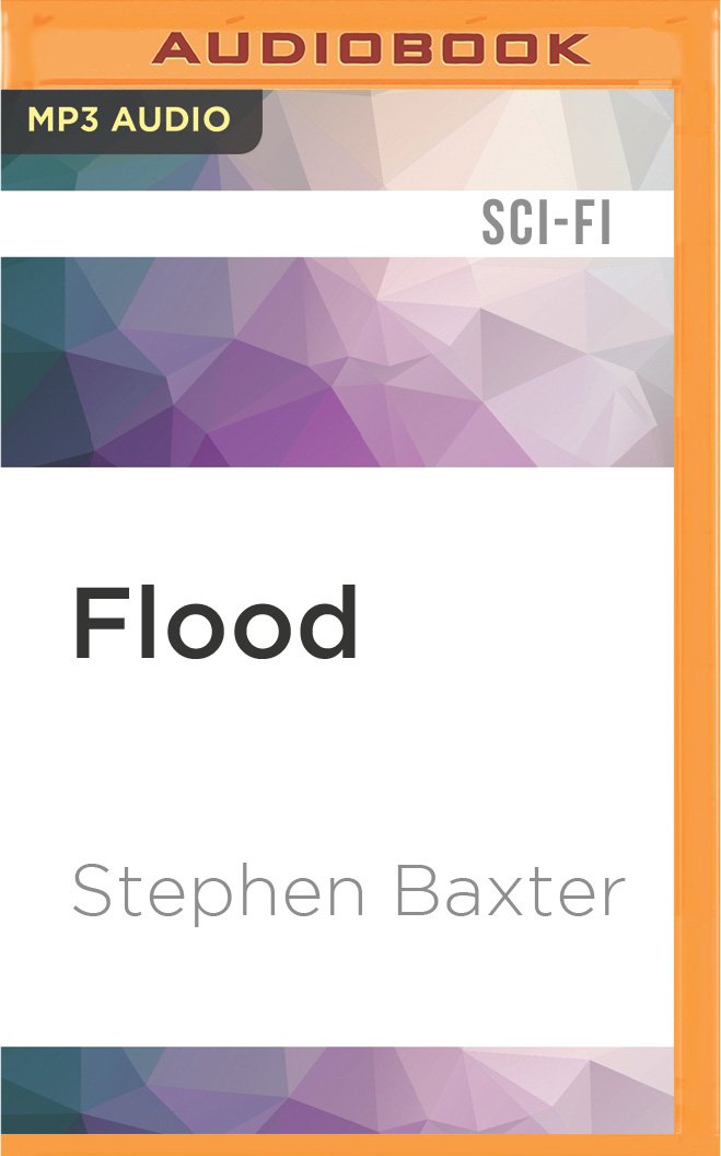 Book cover for Flood
