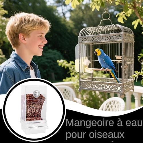 Abreuvoir pour oiseaux anti-renversement pour perruche et canari - 3
