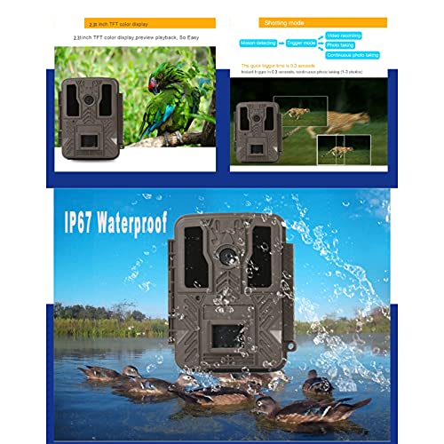 Wildkamera 4K 24MP Wildtierkamera Handyübertragung mit Bewegungsmelder Infrarot-Nachtsicht Profi Jagdkamera 940nm LED… – Bild 4