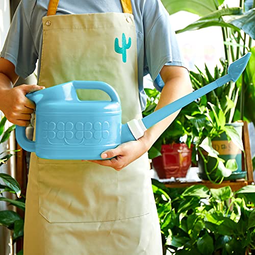 Garden Watering Can For Indoor & Outdoor Plants, Ebristar Plastic Watering Can 1 Gallon With Long Spout & Removable 360 Degree Rotation Sprinkler Head, Lightweight Watering Pot For Houseplants - Blue #TOP1