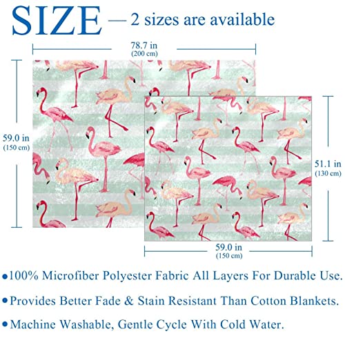 Couverture douce Walking Flamingo en microfibre polaire haute densité