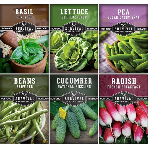 Survival Garden Seeds Kids' Easy Garden Collection - Cucumber, Radish, Beans, Peas, Lettuce, Basil Non-GMO Open Pollinated Seeds for Growing on the Homestead or in the Vegetable Garden