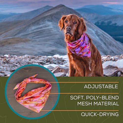 Image of Wilderdog Dog Bandana with Lightweight Quick Drying Poly-Blend Mesh Material in Laramie