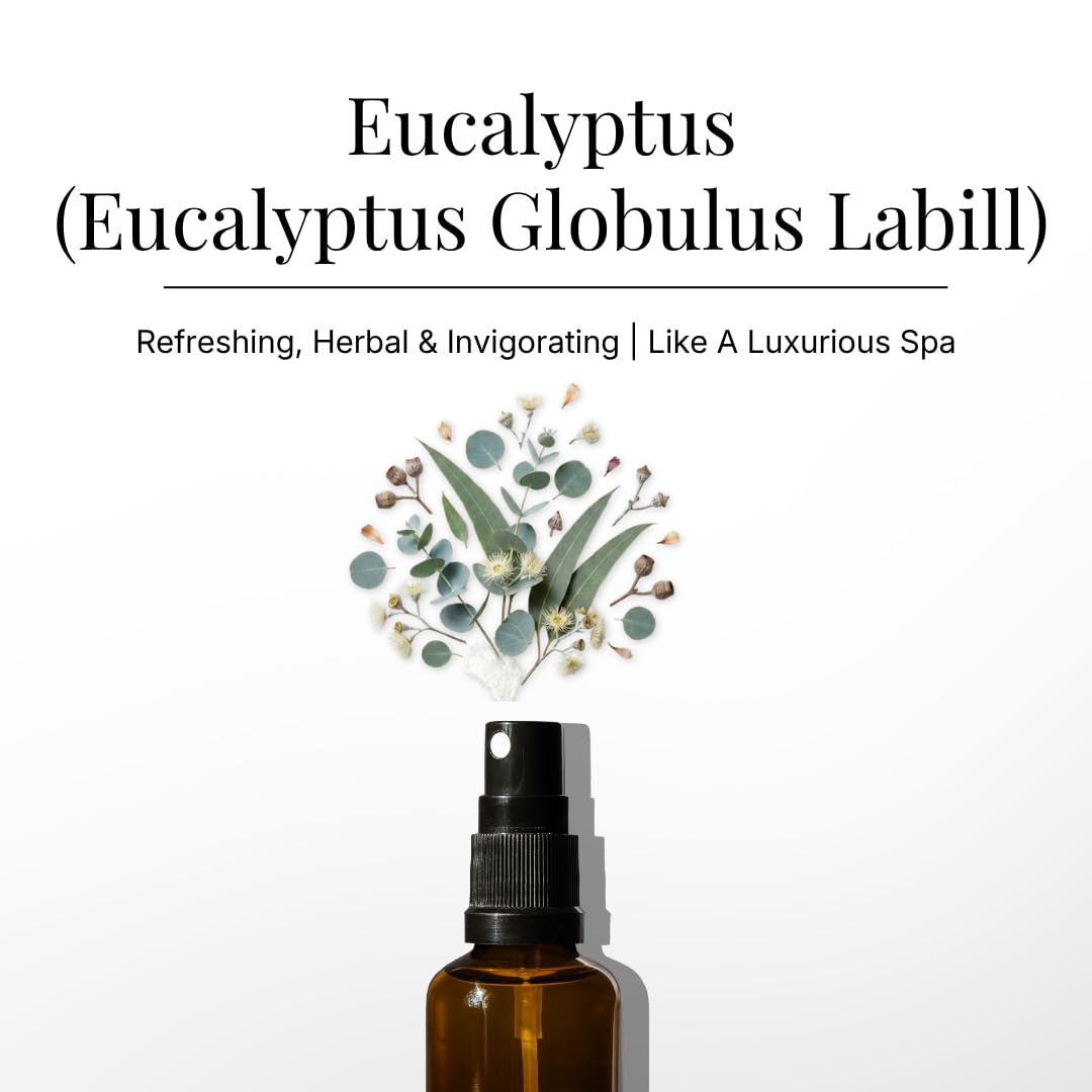 Eucalyptus Air Freshener Spray for Room, Linen & Pillow 100ml by Aromafume view 2
