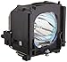 Boryli BP96-01472A Lamp with Housing for Samsung HLS6187W, HLS5687W, HLS5087W, HLS5086W, HLS4266W, HLT6756W, HLT5055W, HLS7178W, HLS6186W, HLS6167W, HLS5686W, HLS5088W, HLS5065W, HLS4666W TV's