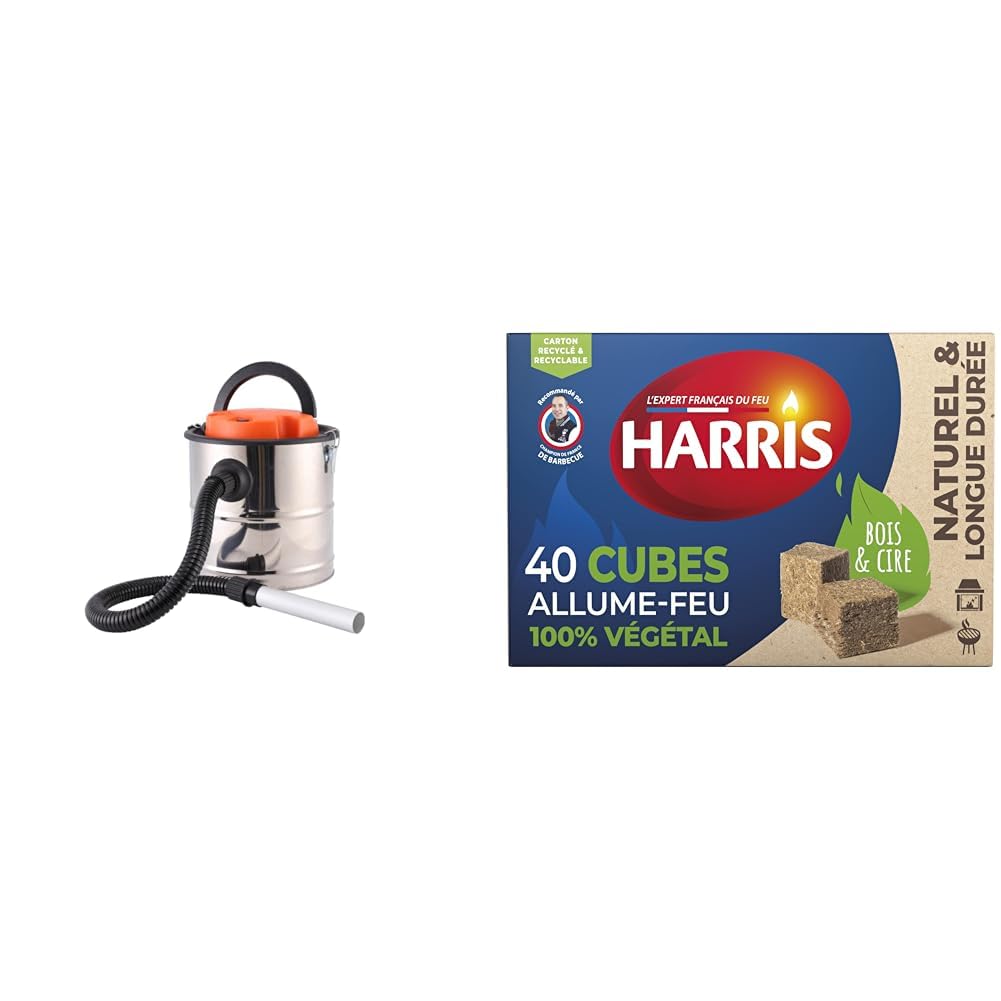 Aspirateur de cendres puissant Bikain 1200W pour vider poêle avec allume-feu Harris