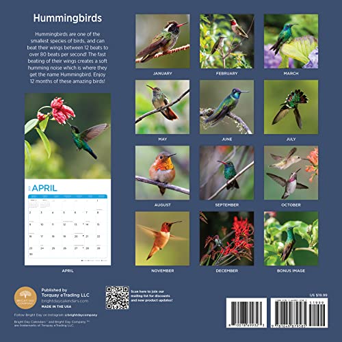 2023 Hummingbirds Monthly Wall Calendar By Bright Day, Made In The Usa, 12 X 12 Inch, Beautiful Nature Wildlife Photography #TOP1