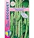 Sachet de graines de Haricot à rames mangetout Phénomène (Phenomeen) - 100 g - Haricot rames mangetout - LES GRAINES BOCQUET