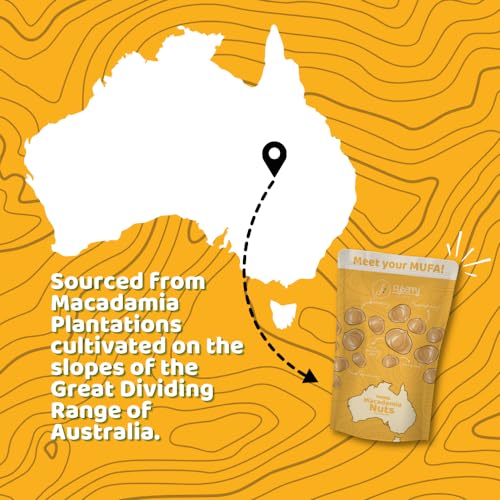 Image of Flyberry Gourmet Macadamia Nuts 100g | Imported From Australia| Boosts Immunity and Improves Stamina | Rich in Vitamins, Minerals, Fiber, Antioxidants and Healthy fats (Pack of 3)