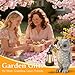 KARTOOSH Solar Garden Statue Owl, Outdoor Decor Resin Owl Light Statues for Yard, Patio, Lawn, Porch, Balcony Ornament, Garden Gift for Women Mom Grandma