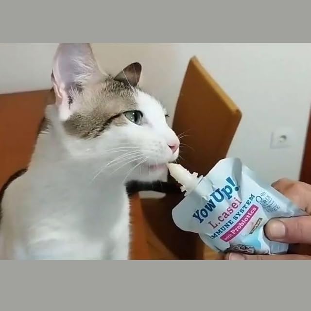 Foto 6 de 7 de Packs de 10 Yogur para Gatos - Puede ser de Hair&Skin Salmón, LCASEI Pavo o Natural- Sin Lactosa