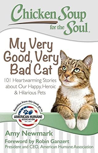 Chicken Soup for the Soul My Very Good, Very Bad