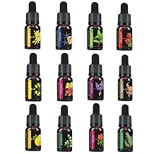 Pure Essence Oil Water Soluble Aromatherapy Oil Fragrant Oil for Aroma Diffuser Humidifier Aroma Expander 12 Bottle Per 10ML Elitzia ETMS016