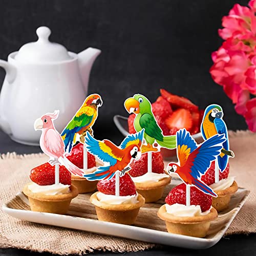 36Pcs Parrot Cupcake Toppers Tropical Bird Party Cake Cupcake Picks Decorations For Parrot Theme Birthday Party Decorations Hawaii Luau Party Supplies #TOP7