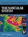 The Vascular System (Diagnostic Medical Sonography)