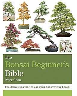 The Bonsai Beginner's Bible