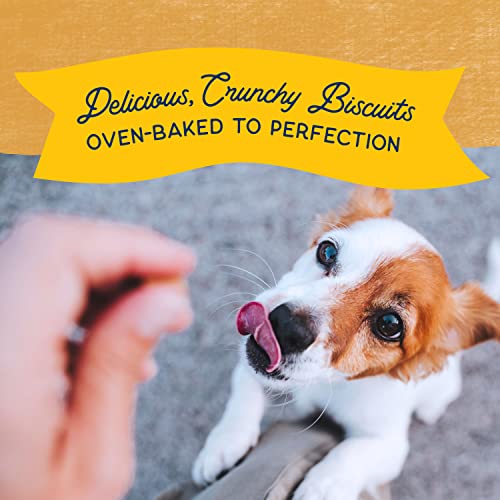 Natural Balance Limited Ingredient Rewards Crunchy Biscuits, Grain-Free Dog Treats For Adult Dogs Of All Breeds, Potato & Duck Recipe, 8 Ounce (Pack Of 1) #TOP4