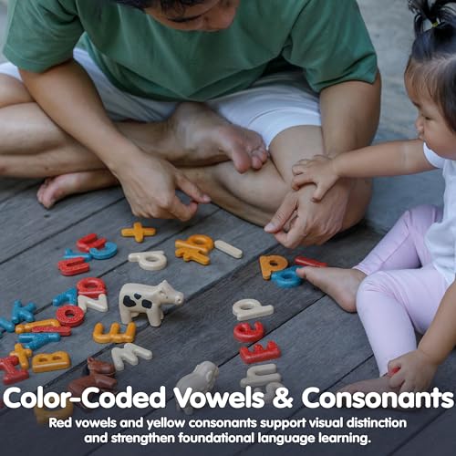 Image of PlanToys Lower Case Alphabet Wooden Learning Set for Kids Ages 3+ | Montessori Educational Resource for Literacy, Letter Recognition & Spelling | Eco-Friendly Early Language Development Tool