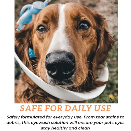 Aspen-Animal-Health-Ophthalmic-Solution-Eyewash-for-Pets-983-Purified-Water-Great-for-Cleaning-Your-Pets-Eyes-Without-Causing-Pain-or-discomfort-Sterile-Eye-wash-for-Pets Aspen Animal Health Ophthalmic Solution Eyewash for Pets 983 Purified Water Great for Cleaning Your Pets Eyes Without Causing Pain or discomfort Sterile Eye wash for Pets