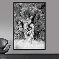 Framed Canvas Wall Art Duotone Zebra Animals Black and White Chic Duotone Expressive Grey Living Room Photography Zebra - 16x24 inches