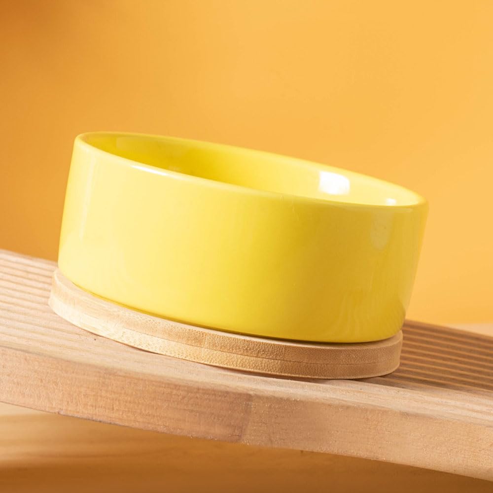 De 10 beste kattenvoerbakken (gekocht en getest) - De Buitenkat De 10 beste kattenvoerbakken (gekocht en getest) - De Buitenkat