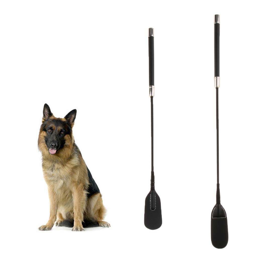 Fouet Cravache Chien Dressage 45cm