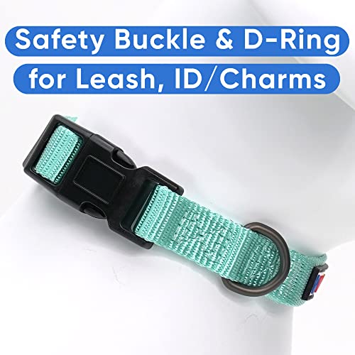 Pawtitas Dog Collar For Extra Small Dogs Training Puppy Collar With Solid - Xs - Teal #TOP2