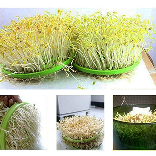 Bean Sprouts Machine, LED Display Time Control, Intelligent Automatic Bean Sprouts Maker, 2 Layers Function Large Capacity Seed Grow Cereal Tool, 110V