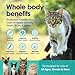 Premium Omega 3 Fish Oil for Cats - Wild Alaskan Salmon Oil Supplement for Skin and Coat - Liquid Cat Supplement for Shedding Control & Cat Dandruff - 16oz