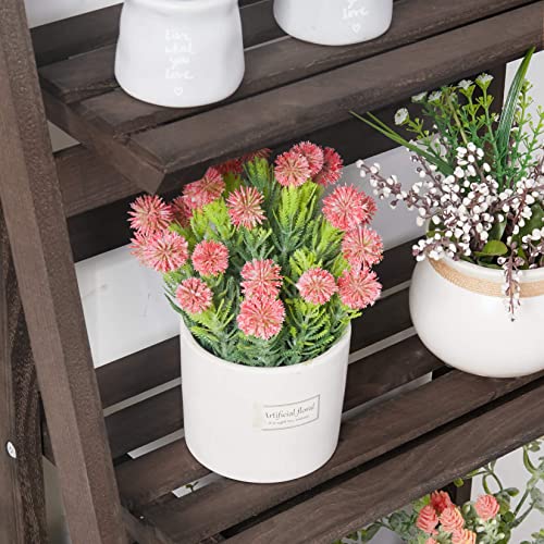 Unho 4 Tier Plant Stand: Tall Ladder Shelf Wooden Step Display Rack For Small Potted Plants Flowers Succulents Indoor Garden Patio Lawn Decors #TOP3