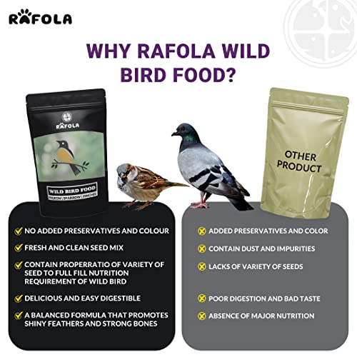 Image of Wild Bird Food Mix Seeds - Nourishing Sparrows, Finches, Pigeons & Wild Birds (1 Kg) For All Life Stages
