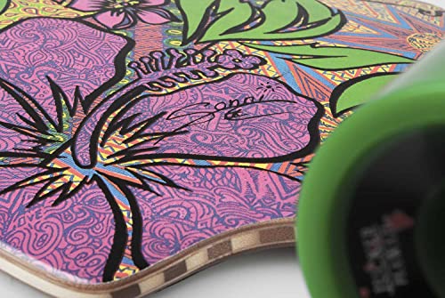 Longboard Jucker Hawaii Wailani für Anfänger und Fortgeschrittene