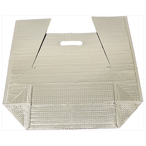 酒井化学工業 保冷袋 ミナクールパック CH5 角底袋(持ち手穴付) 小 225×110+125+190mm 100枚